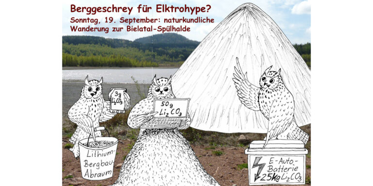 Berggeschrey für Elektrohype? – Naturkundliche Wanderung zur Bielatal-Spülhalde