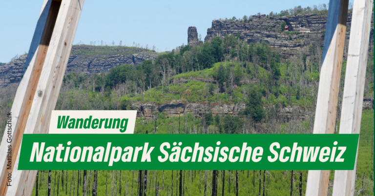 Wanderung in der Sächsischen Schweiz